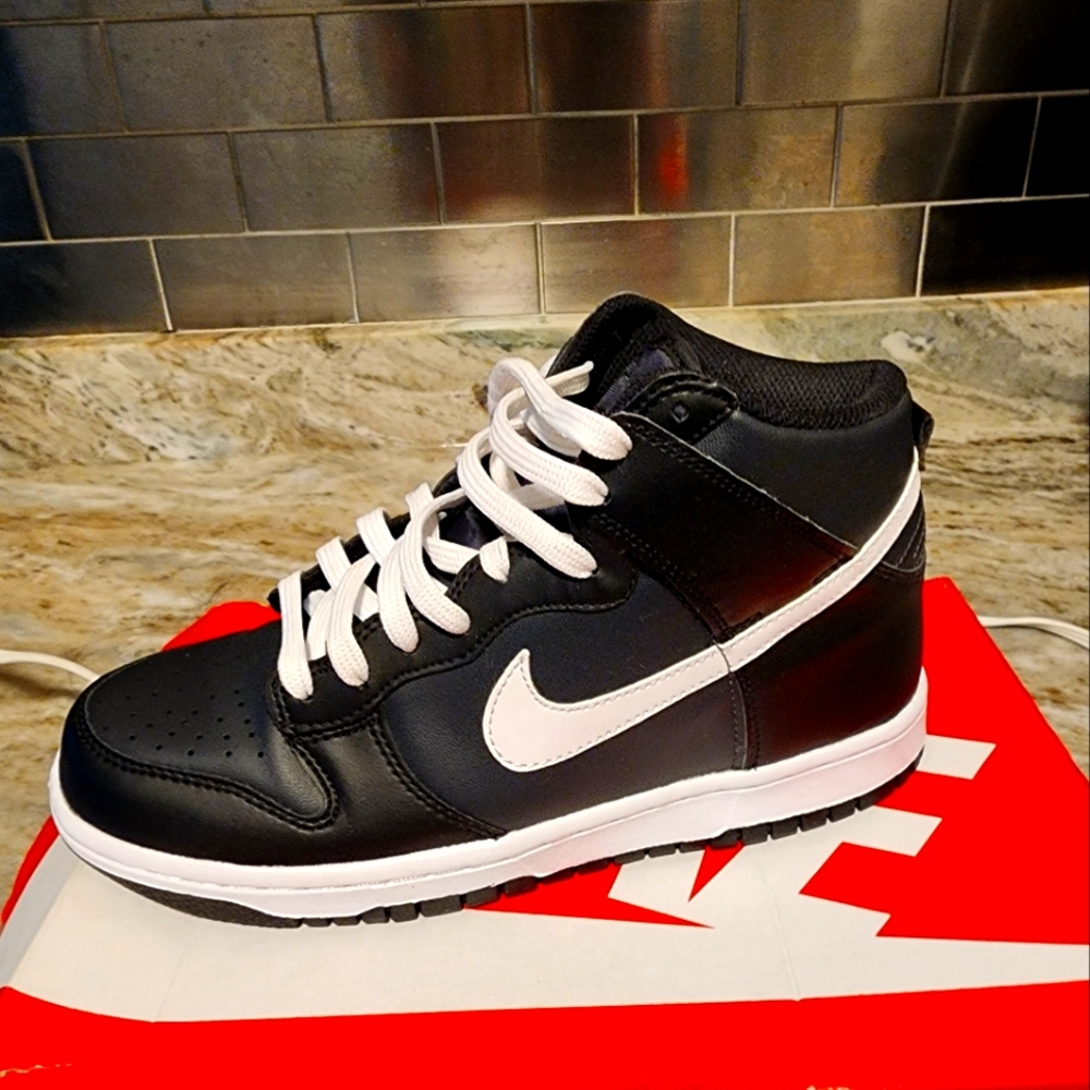 NIKE DUNK  HI SIZE 7
